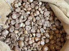 Sun Drying Yard & Batch Rotation