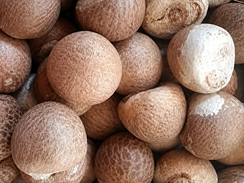 Indonesian Whole Betel Nut